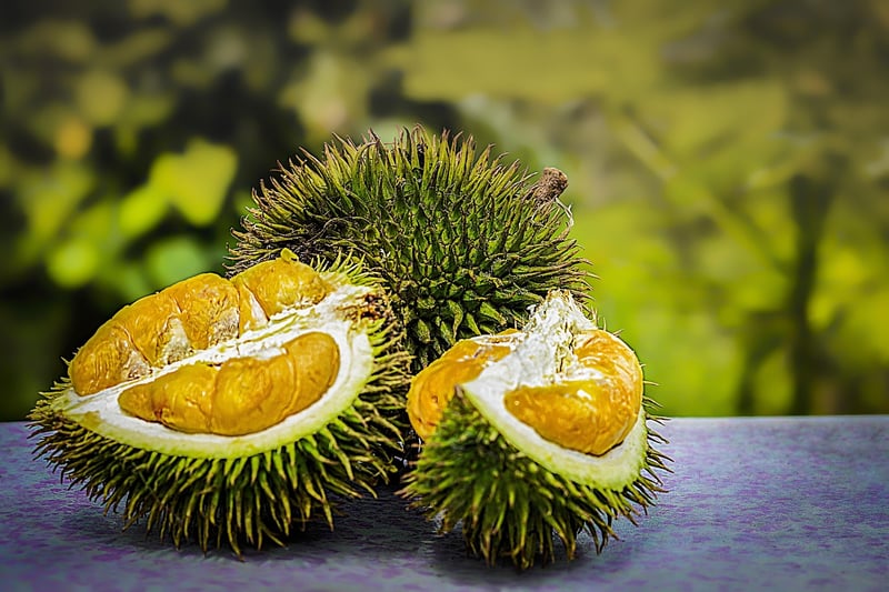 Nutrient-rich Dishes